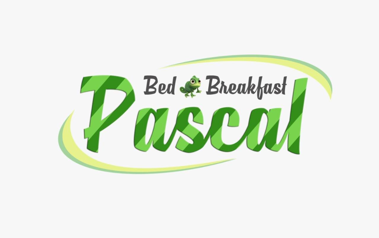 B&B Pascal Cagliari Exterior photo